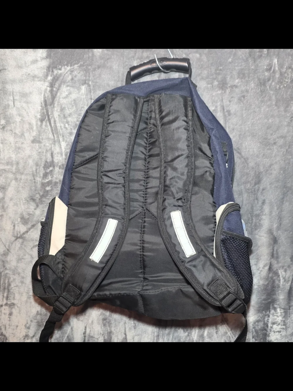 Vintage Eastsport Blue Multi-compartment Backpack
